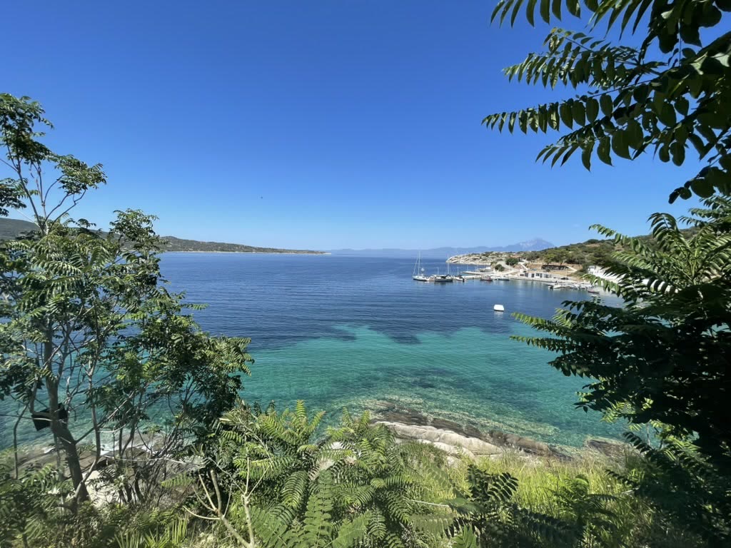 EADX team event highlight 9