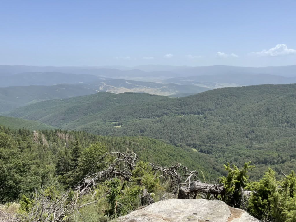 EADX team event highlight 13