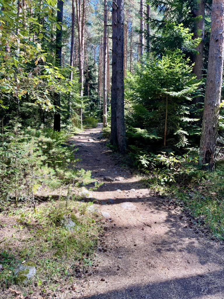 EADX team event highlight 15