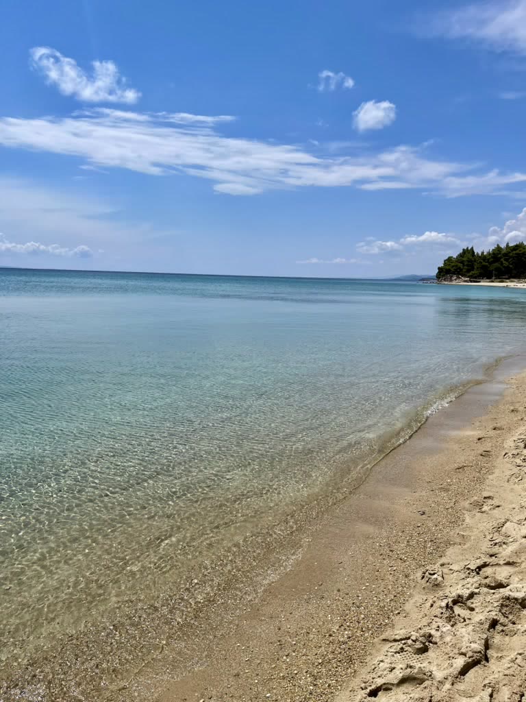 EADX team event highlight 24