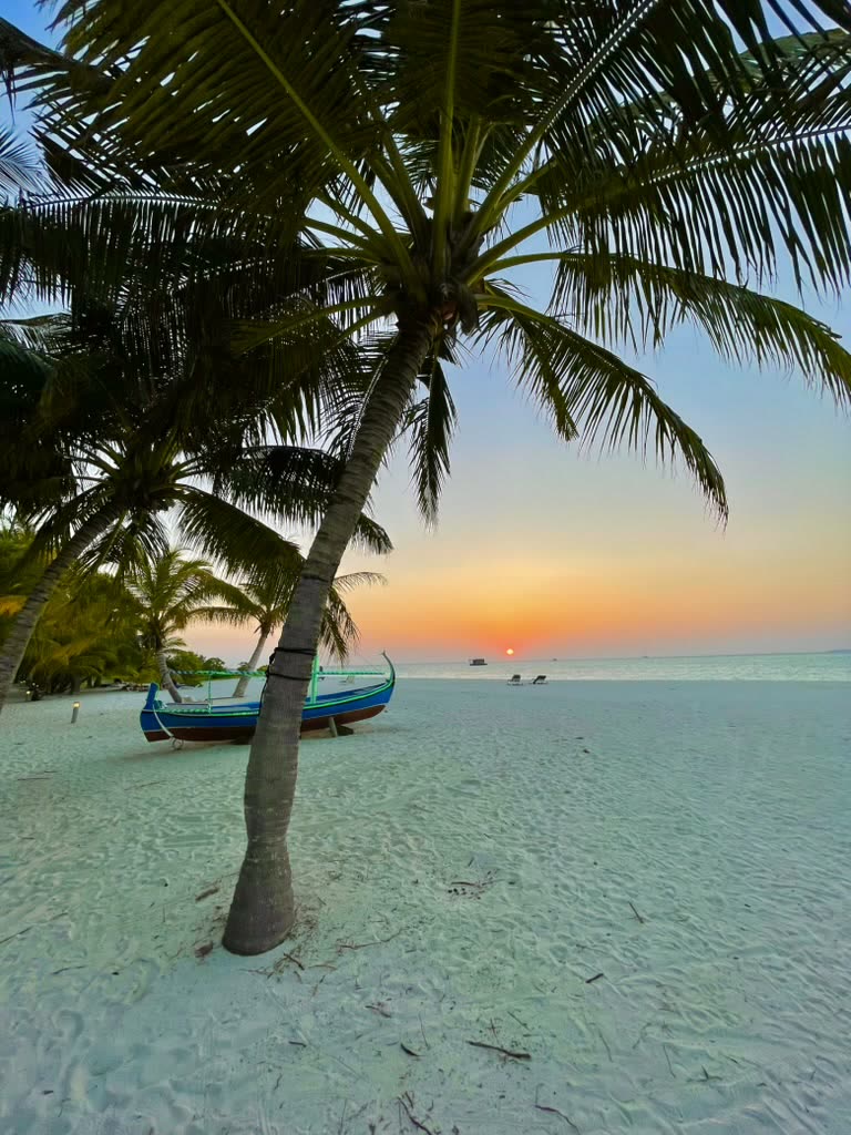 EADX team event highlight 25