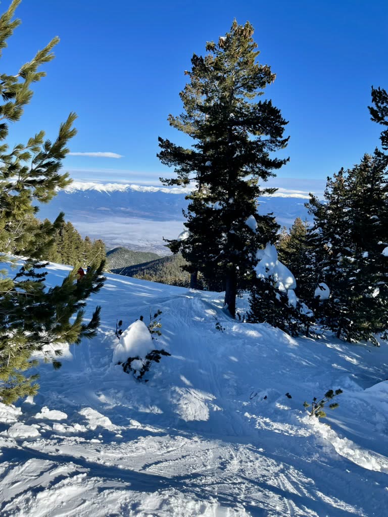 EADX team event highlight 38