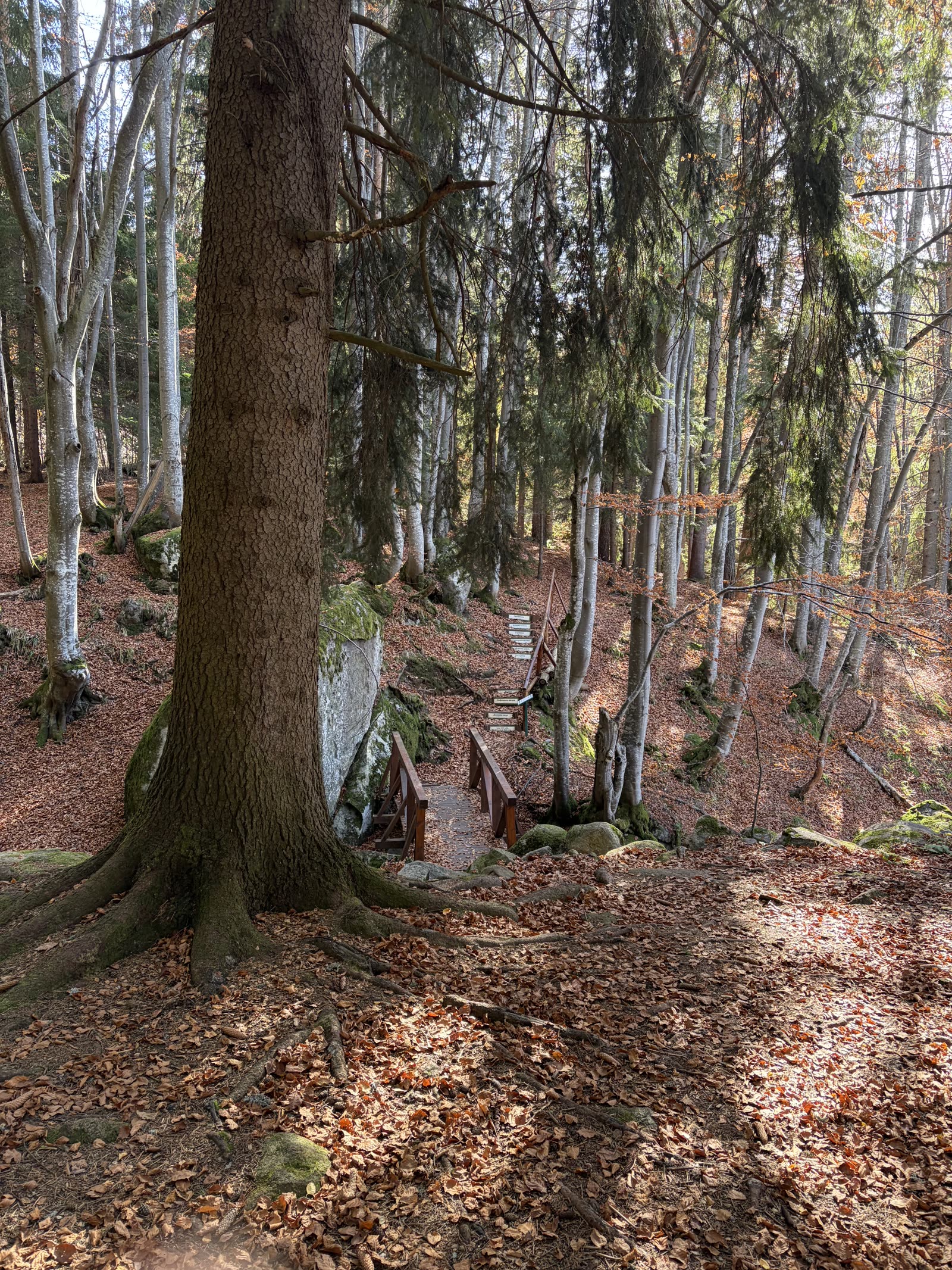 EADX team event highlight 40